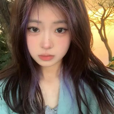 大象与小蝶物语